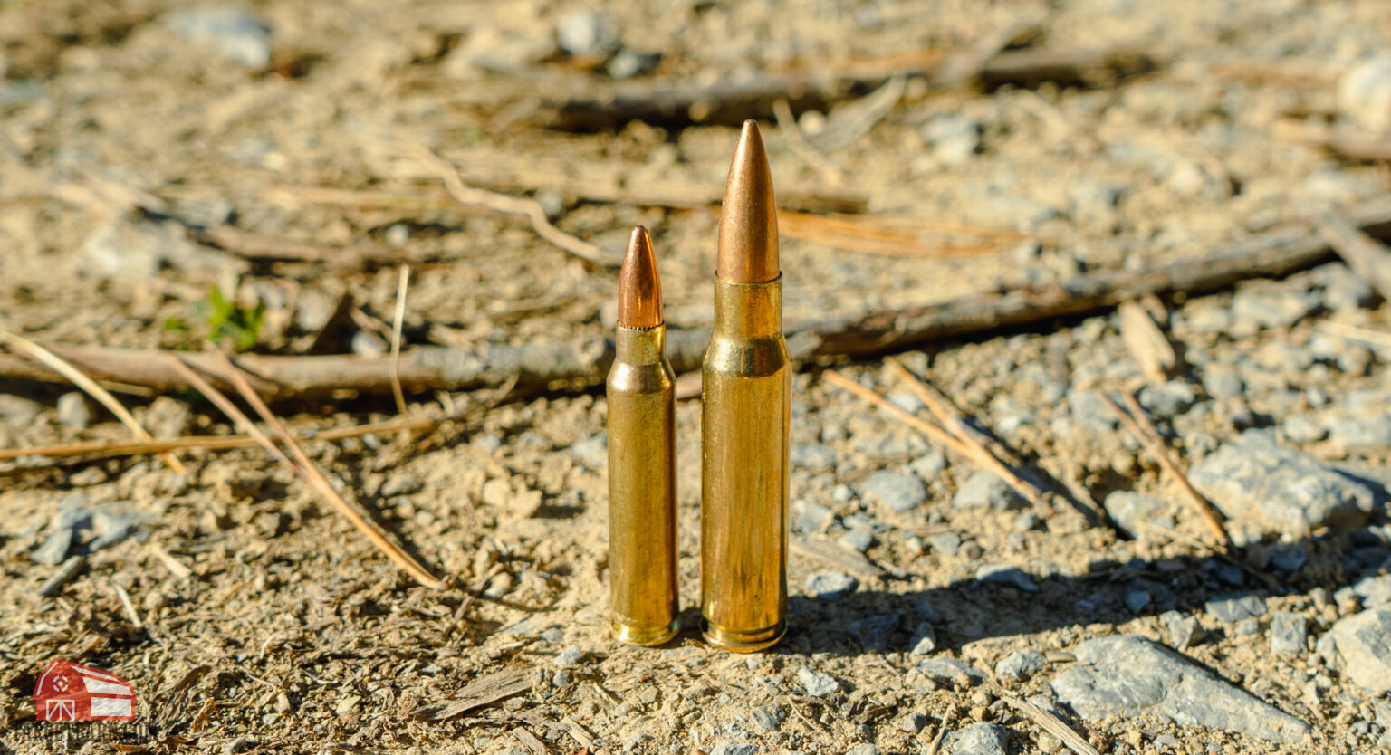 223-vs-308-caliber-comparison-targetbarn